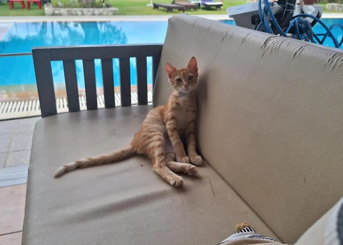 Horizon Apartament Agios Christoforos (Lefkada)